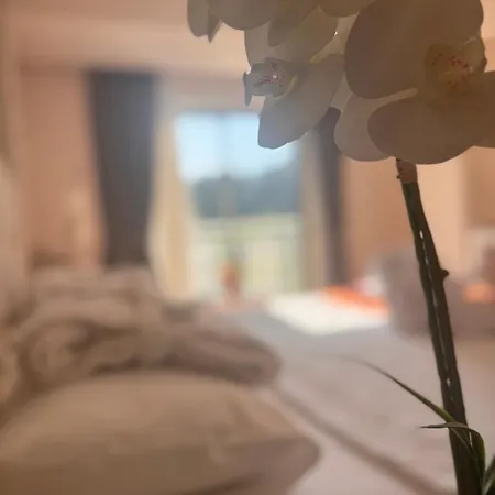 Grand Mir'amor Hotel&spa ホテル